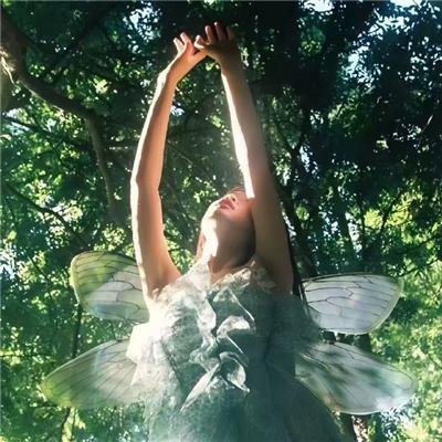 爸爸妈妈复婚记