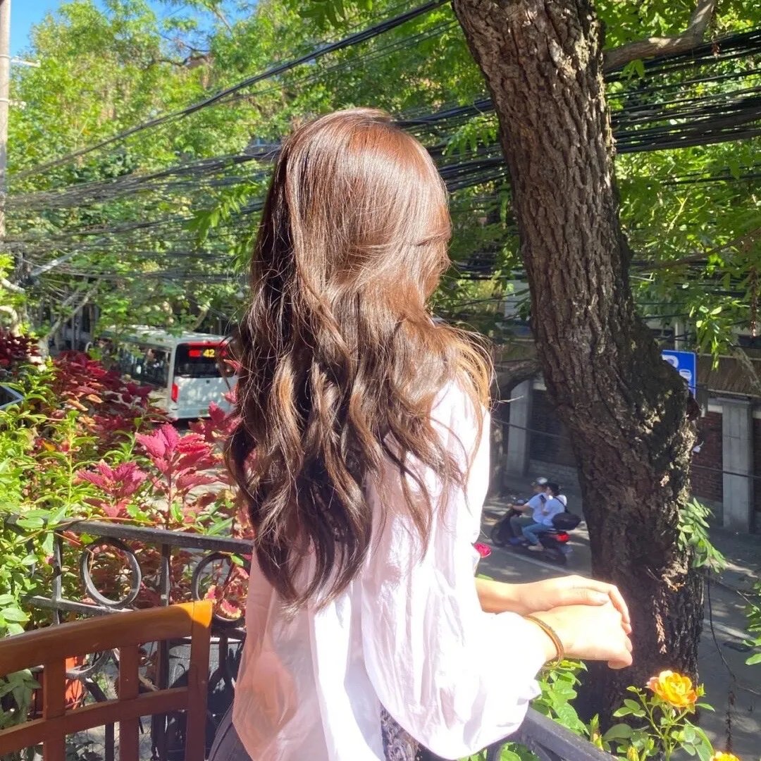 立花登青春备忘录